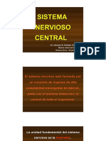 sistema nervioso central 