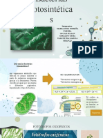 Bacterias Fotosinteticas - Grupo 4 (2) 1