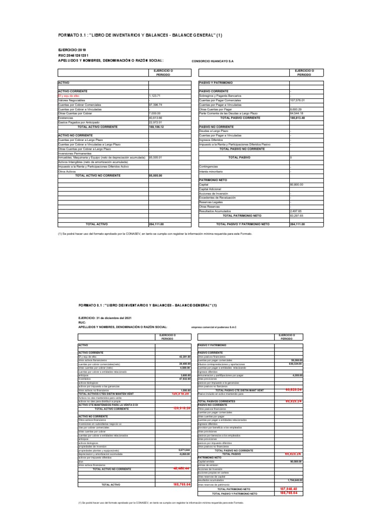 Formato3 1 - Libro Inventarios y Balances - Balance Gral (1) - 1 | PDF ...