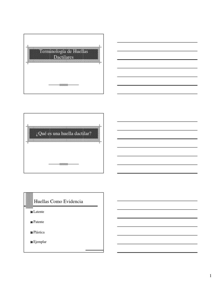 07 Fingerprint TerminologySpanish PDF