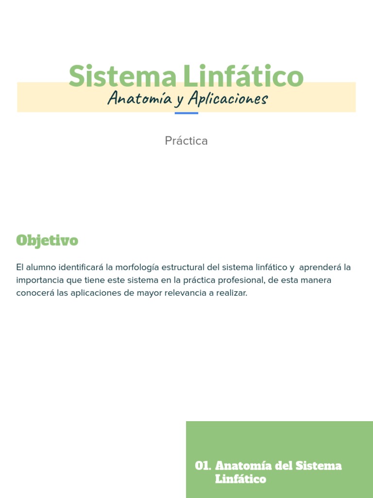 Sistema Linfático Pdf Sistema Linfático Anatomía