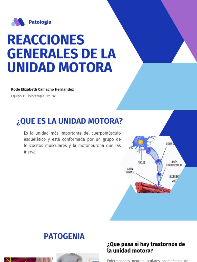 Reacciones Generales de La Unidad Motora PDF