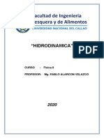 Hidrodinamica PDF