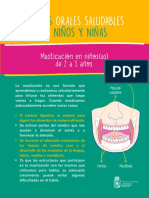 Infografia 3 y Videos Tema 3 Masticacion