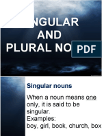 Singular and Plural Nouns Explained