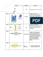 Ejercicio 2