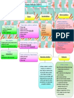 Esquema Contrato de Fianza