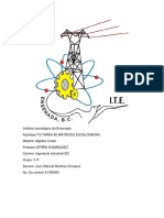 T2 TAREA #2 MATRICES ESCALONADAS(AL)