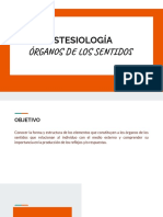 Practica 29 DP Estesiología Órganos de Los Sentidos