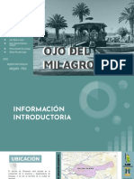 Ojo Del Milagro - Characato