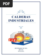 Calderas Industriales - TRABAJO FINAL - Avance