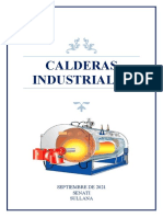 Calderas Industriales - TRABAJO FINAL - Avance