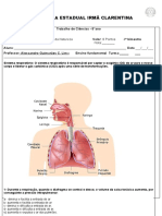 Trabalho de Ciências Valor 8 Ponto Sistema Respiratório 1