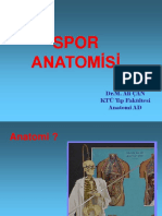 Spor Anatomisi: Dr.M. Ali ÇAN KTÜ Tıp Fakültesi Anatomi AD