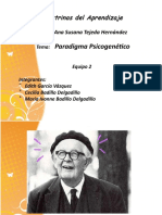 Exposicion Paradigma Psicogenetico-Piaget