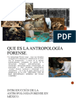 Antropologia Expo 1