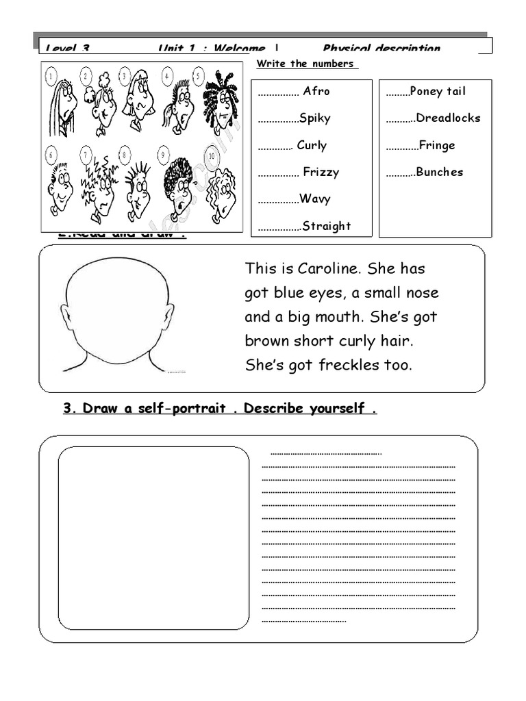 Physical Description Activity | PDF