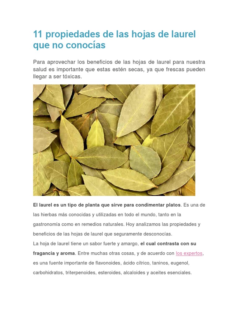 11 Propiedades de Las Hojas de Laurel Que No Conocías PDF Diabetes