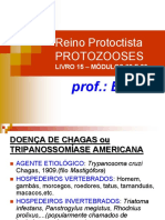 protozooses-385460