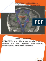 Aula 1. Introdução Ao Estudo Da Neuroanatomia Modificada_1c252d302267ff414b8342e4ad5e4515