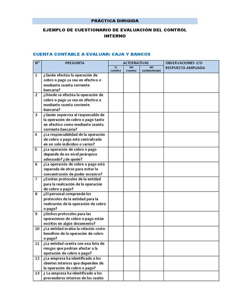 Ejemplo Cuestionario Control Interno Caja y Bancos | Descargar gratis ...