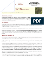 carotte_fiche_SFF