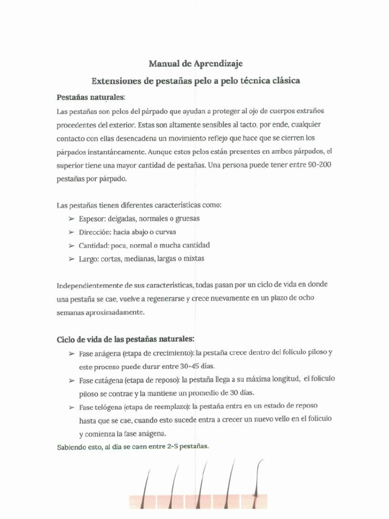 Manual de Aprendizaje Curso de Extensiones de Pestañas Pelo A Pelo ...
