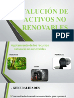 Presentación - Equipo 4 - Valuación de Activos No Renovables