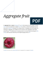 Aggregate Fruit - Wikipedia