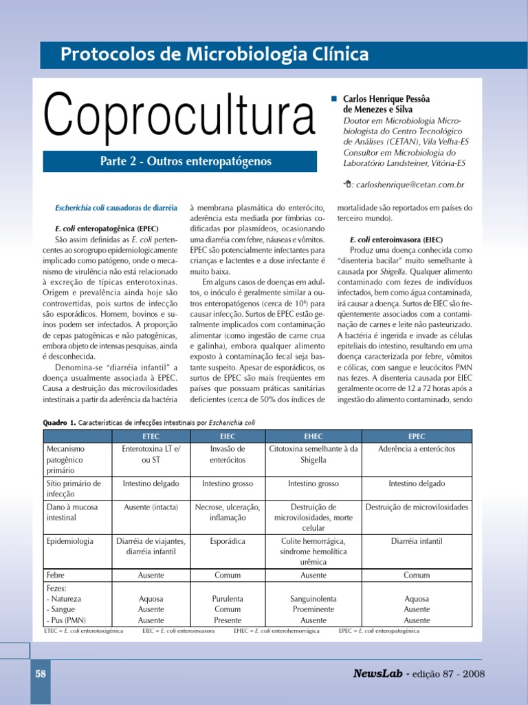 Coprocultura Protocolos Parte 2 | PDF | Escherichia Coli | Ágar