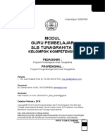 Modul Guru Pembelajar SLB Tunagrahita: Kelompok Kompetensi D