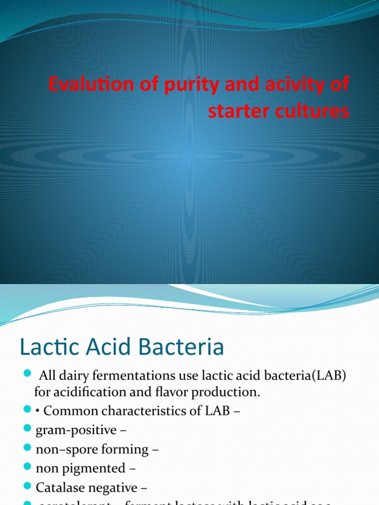 Evaluating Purity of Lactic Acid Cultures | PDF | Bacteria | Taste
