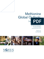 Methionine Global Outlook: The Next Decade