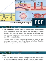 IV.B. Gas Exchange of Organisms