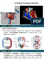 IV.C. Nutrient and Waste Transport System