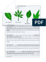 Jenis-Jenis Daun dan Bagian-Bagian Bunga