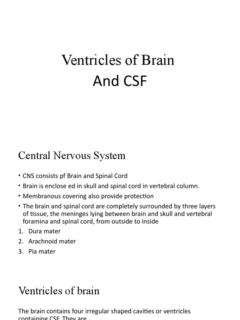 Ventricles of Brain | PDF | Cerebrospinal Fluid | Anatomy
