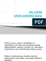 Di̇lleri̇n Siniflandirilmasi