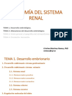 Tema 1