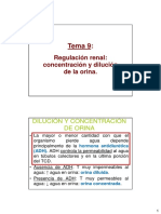 Tema 9 Regulación Renal. Concentración y Dilución de La Orina