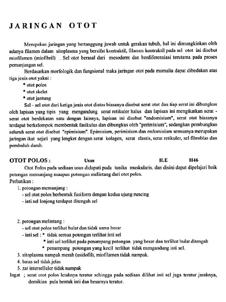 A pdf