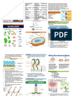 Functions of Bacteria