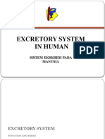 5183 - Excretory System in Human