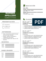 87 Curriculum Vitae Bien Hecho