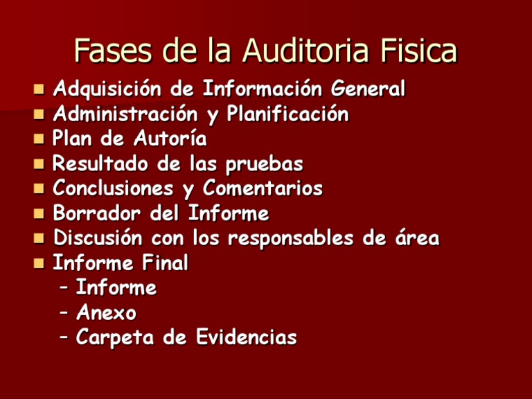 Fases de la Auditoría Física | PDF | Tecnología