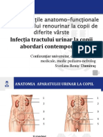 Particularitățile anatomofuncționale a sistemului renourinar la copii