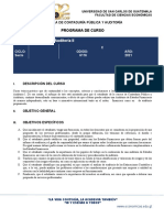 Programa Auditoría II-2021-Formato Digital