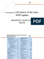 Colecchia Who Non Germ Cell Tumors Update