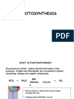 Photosynthesis Explained