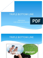 204585180 Triple Bottom Line